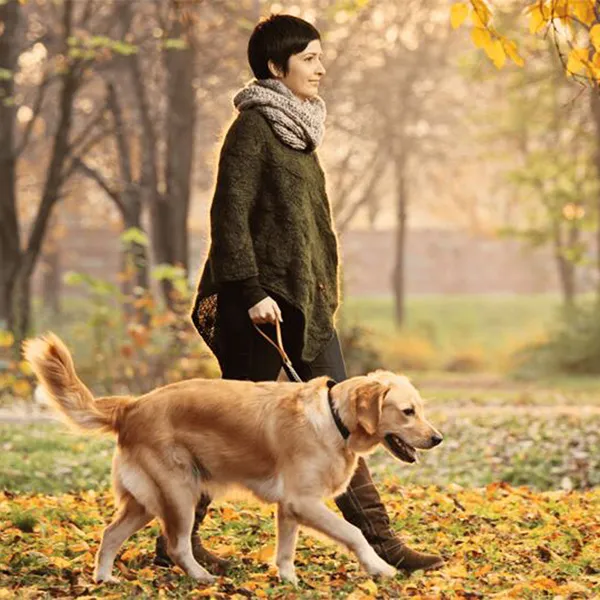 Chien en balade en forêt avec sa maîtresse