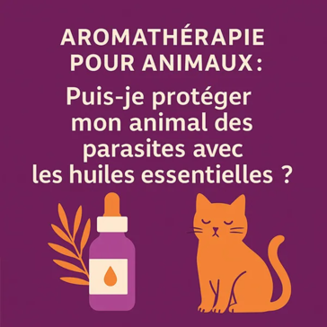Illustration Aromathérapie pour animaux : puis-je protéger mon animal des parasites avec les huiles essentielles, avec un chat et un flacon d'huile essentielle