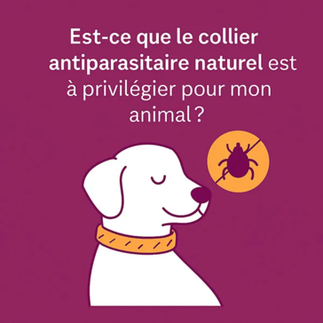 Illustration Est-ce que le collier antiparasitaire naturel est à privilégier pour mon animal, avec un chien et une icône de tique