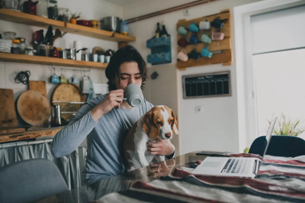 Homme buvant un café dans sa cuisine avec un beagle sur les genoux devant un ordinateur portable